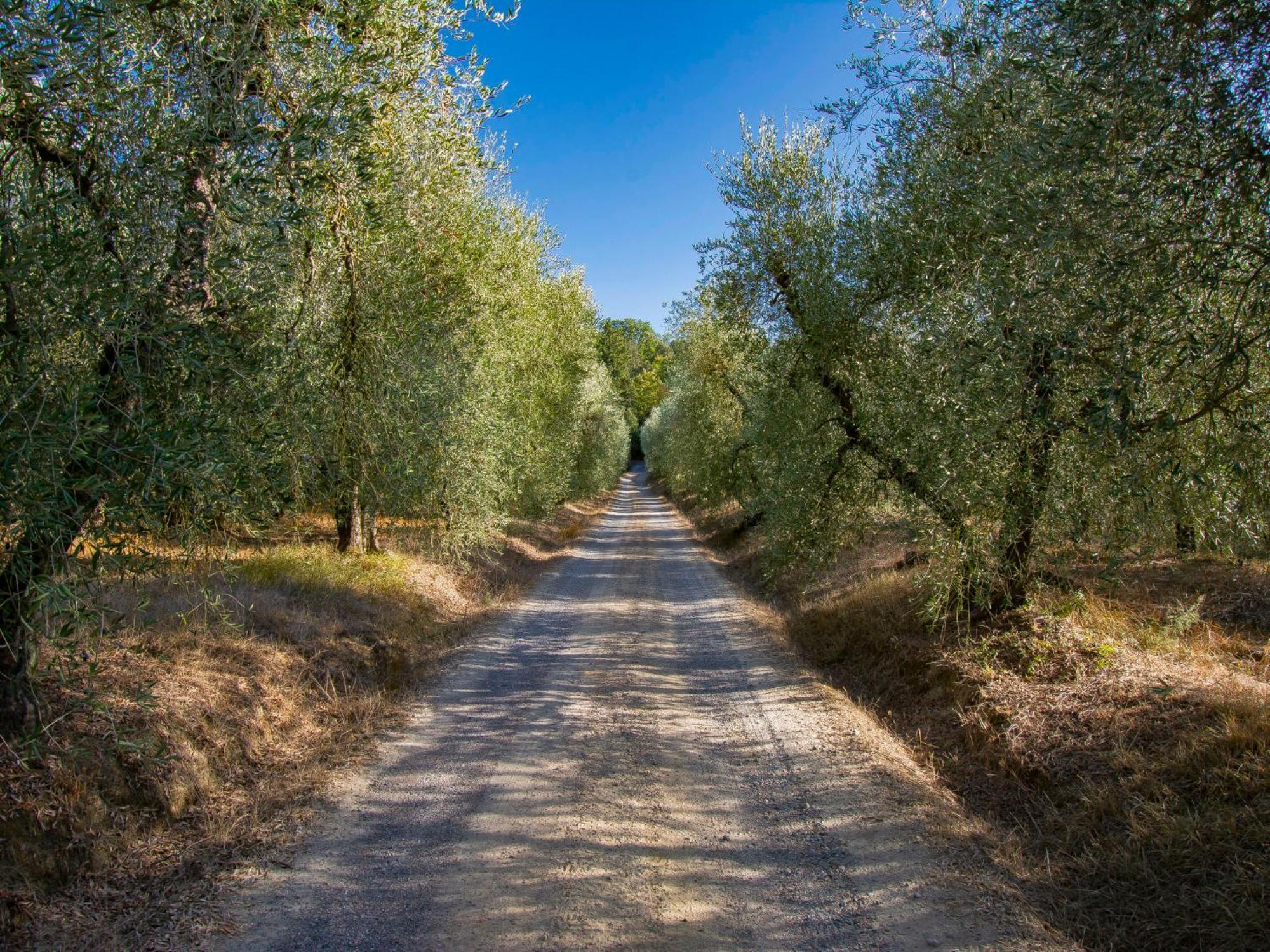 Holiday Home Merlot By Interhome Cedri Bagian luar foto
