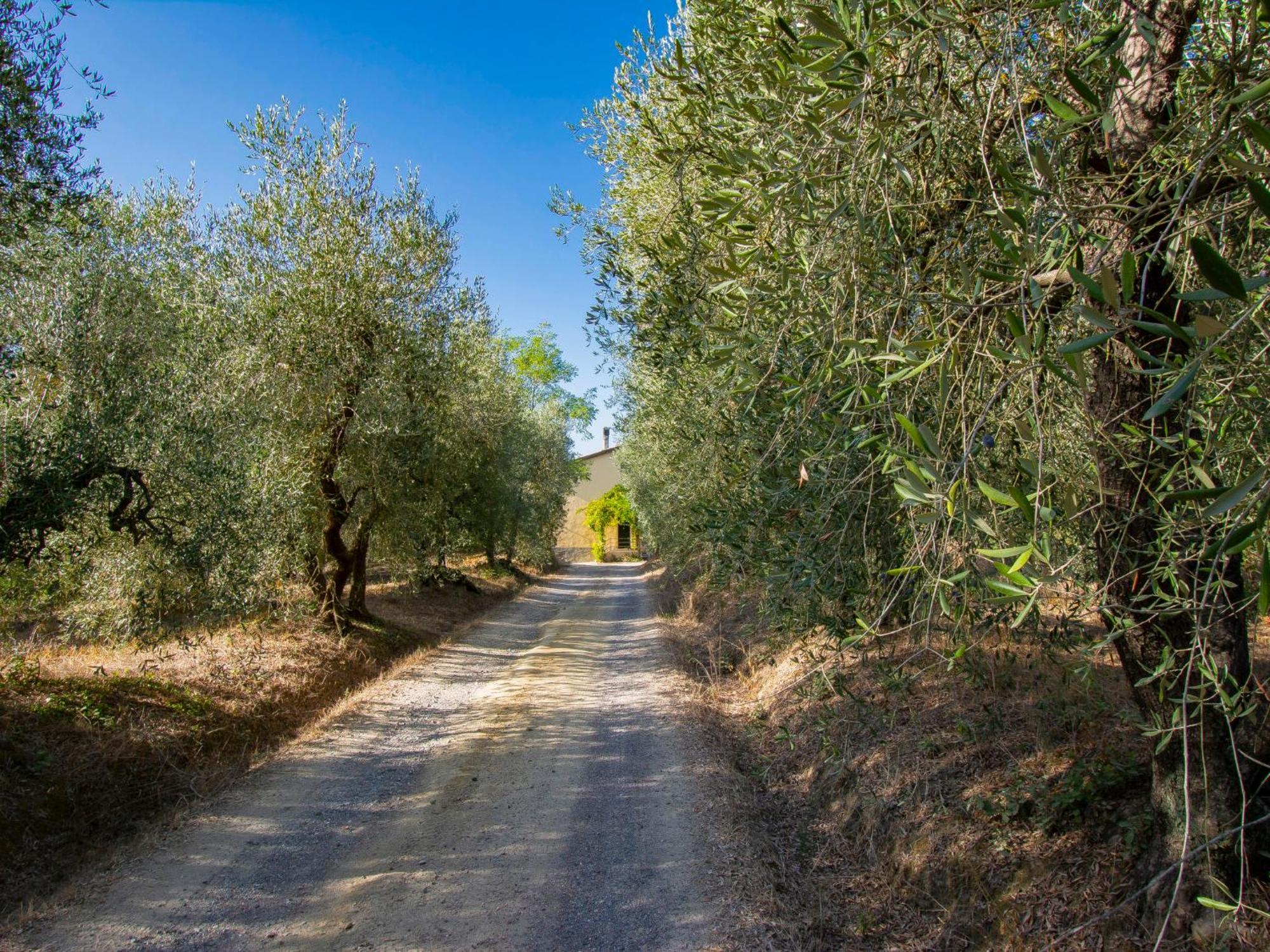 Holiday Home Merlot By Interhome Cedri Bagian luar foto